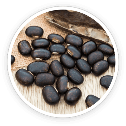 Quietum Plus Ingredients