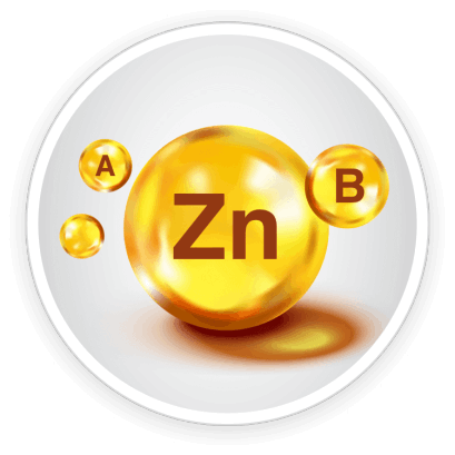 Quietum Plus Ingredients